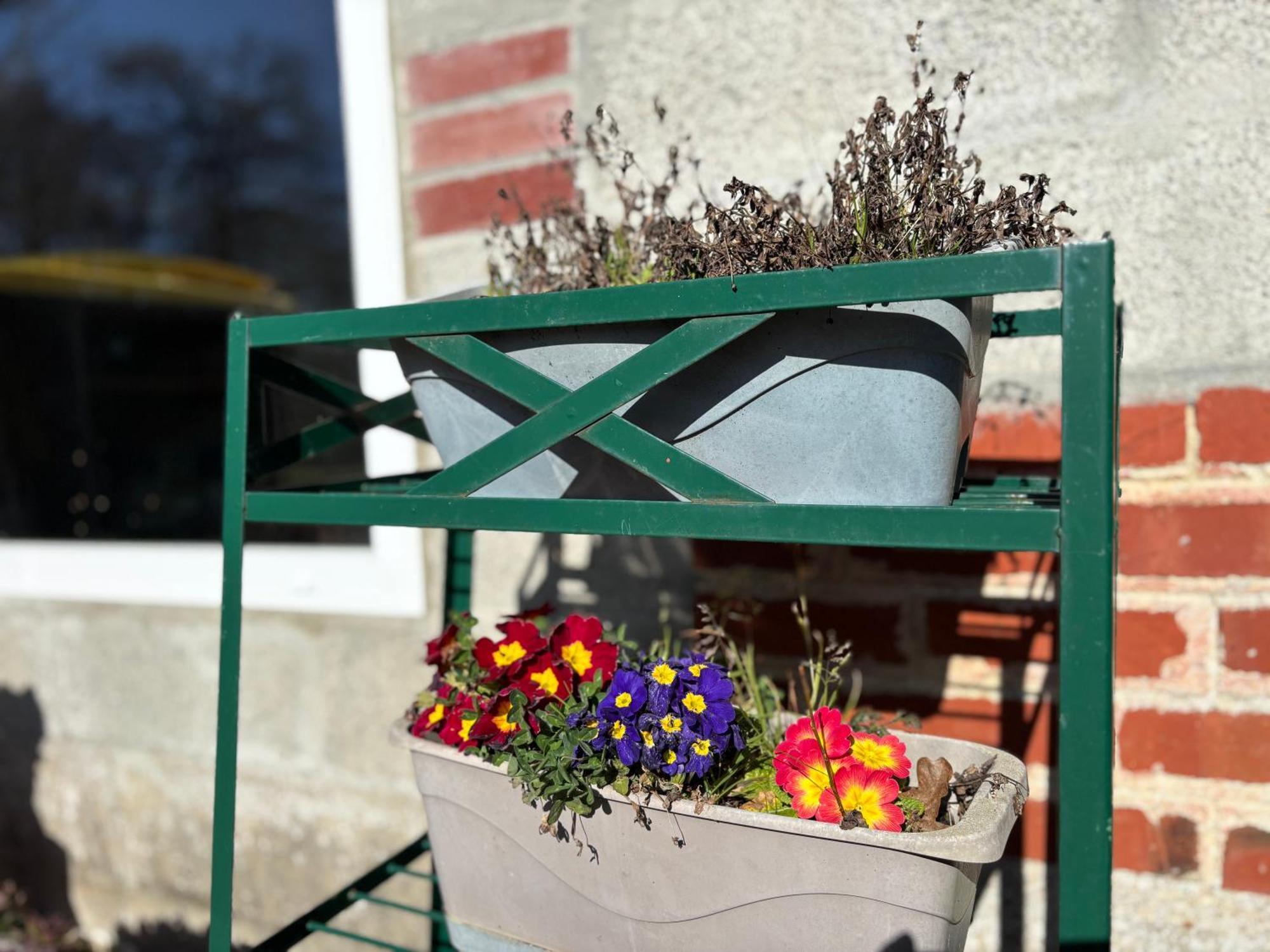 Maison grand jardin pres Port en Bessin et Bayeux, proche plages du débarquement Commes Esterno foto